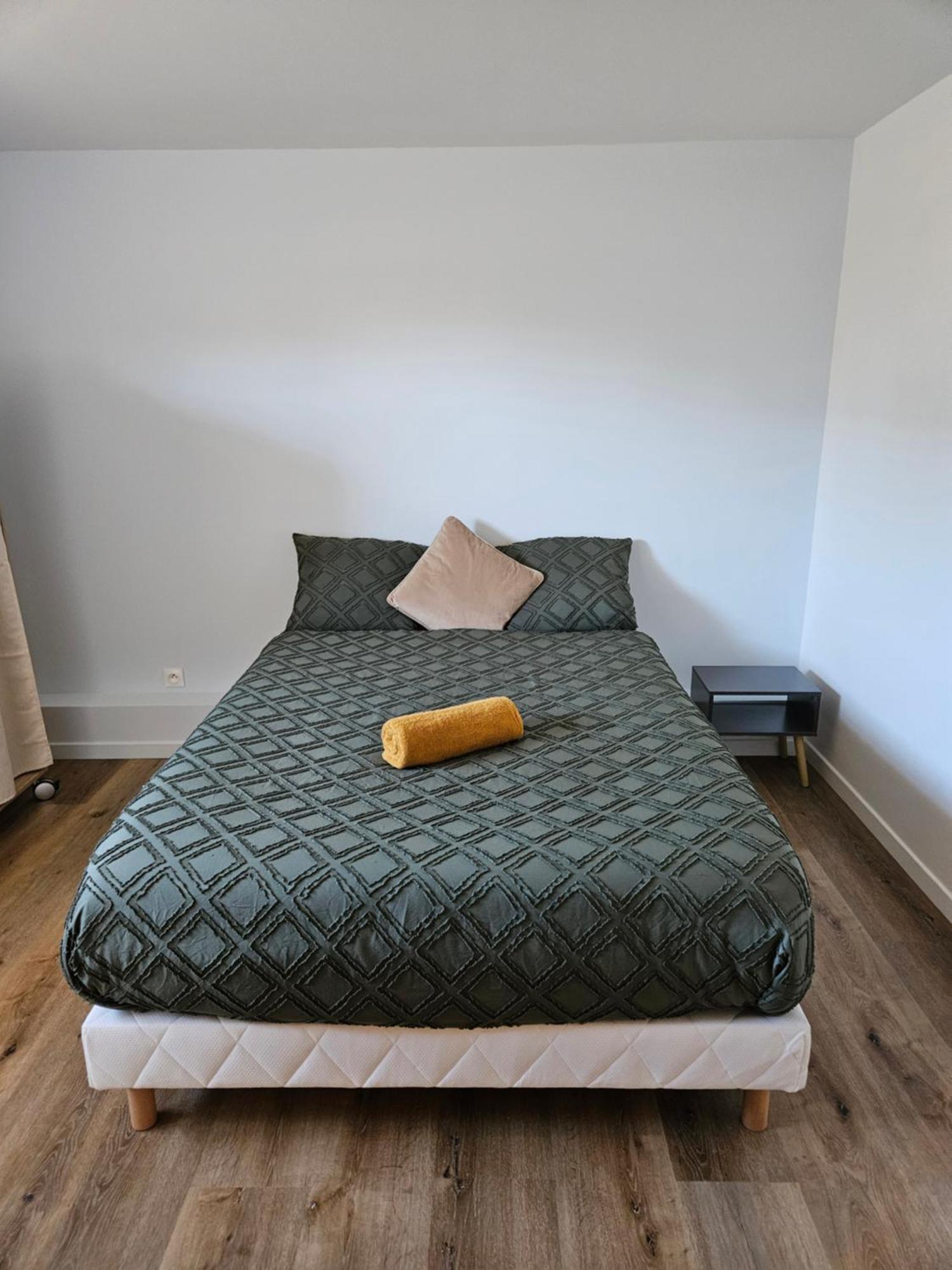 Maison Spacieuse Privatisee Ou A La Chambre - Places De Parking Saint-Michel  Kültér fotó